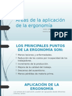 Áreas de La Aplicación de La Ergonomía