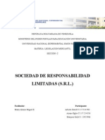 Informe Def. SRL (8)