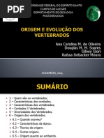 Origem e Evolução Dos Vertebrados