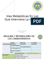 Vías Metabólicas en Las Que Interviene La Insulina