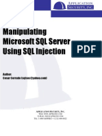 Manipulating SQL Server Using SQL Injection