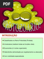 PROTOZOARIOS (1)