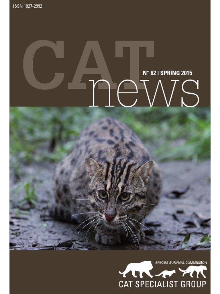 Fishing Cats in South India IUCN Cat News 62 Mangrove