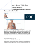 Software Anatomi 3 Dimensi Visible Body