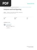 Download Ripening by Ethelene by kasun1237459 SN272176497 doc pdf