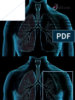 A Pilot Study of Respiratory Muscle Training To