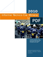 Informe Técnico Cia. Minera Lincuna 2010