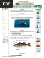 .__ Classsificação Dos Peixes - Só Biologia _