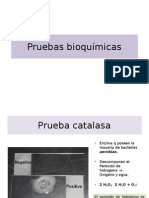 Pruebas Bioquimicas