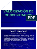 111-COMERCIALIZACION-DE-CONCENTRADOS.pdf
