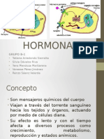B. Hormonas