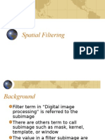 Digital Image Spatial Filtering Techniques