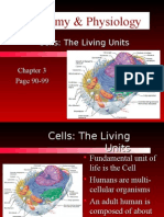 Chapter 3 - Cells