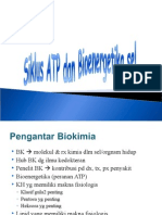 BIOENERGETIKA