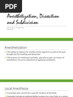 Building A Market Employment Strategic Management - 04 anesthetization dissection and subdivision