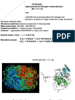 CATALAZA Peroxid de Hidrogen:Peroxid de Hidrogen Oxidoreductaza