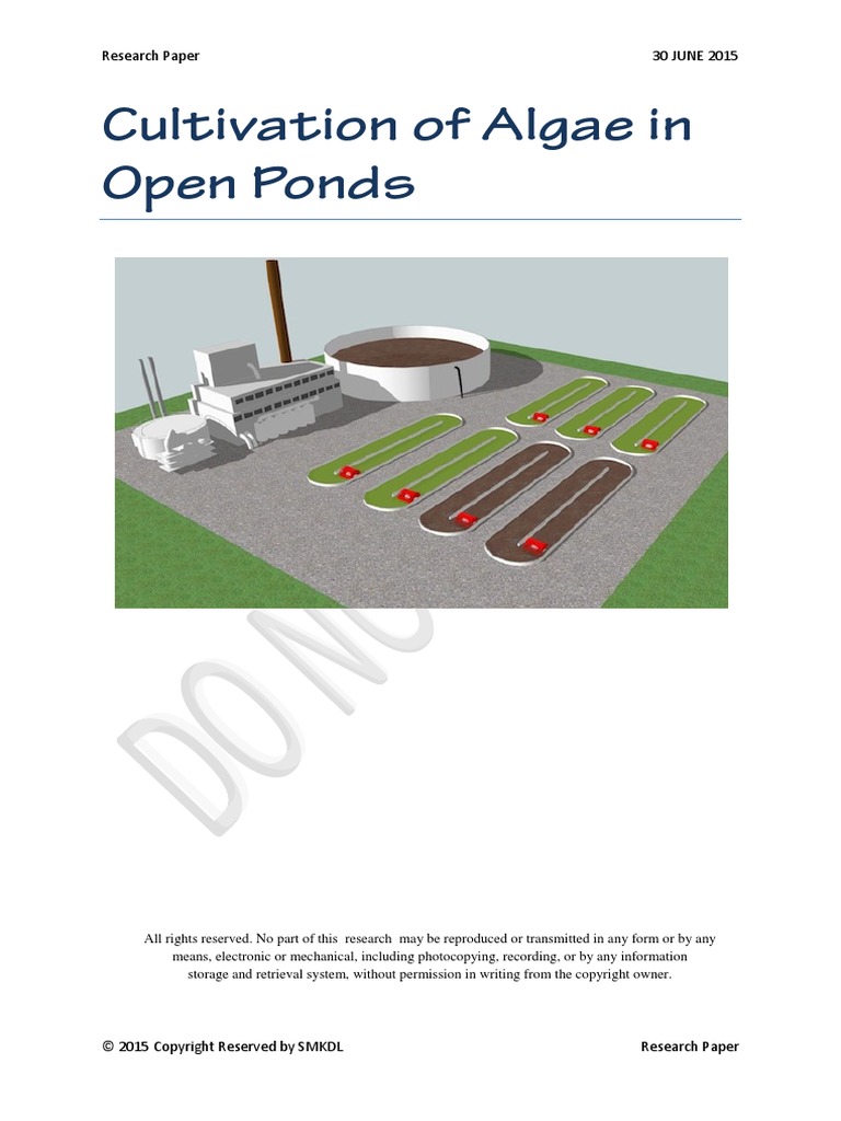 Cultivation of Algae in Open Ponds | PDF | Pond | Algae