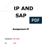 Erp and SAP: Assignment #1