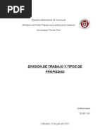 Divicion Del Trabajo y Tipos de Propiedad Uft