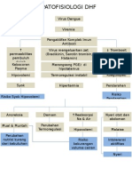 Patofisiologi DHF