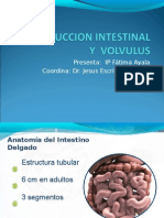 20110419_obstruccion_intestinal_ip_fatima_ayala.ppt