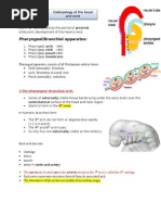 Blood Supply of Head and Neck | PDF | Common Carotid Artery | Neck