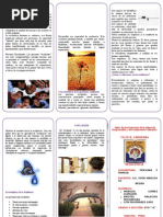 RESIILIENSIA - triptico.docx