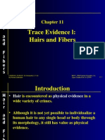 hair and fibers ppt