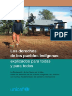 Derechos Indigenas Explicados