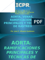 Aorta Venas y Ramificaciones Principales