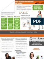 Triptico Icdl