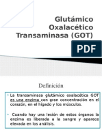 Glutámico Oxalacético Transaminasa (GOT)