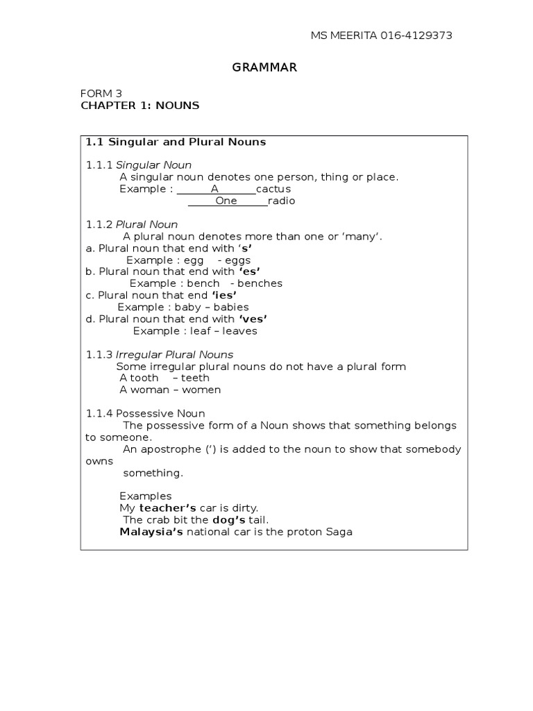 Grammar Chapter 1 Pdf Grammatical Number Plural