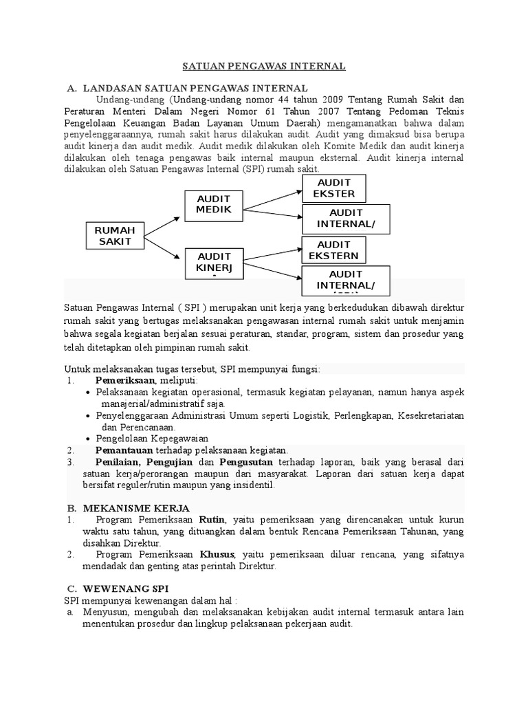 Contoh Laporan Audit Kinerja Rumah Sakit Sekitar Rumah