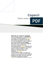 Copacii