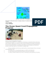 The Ocean Quest Coral Propagation Program: Gambar Pulau Gelok, Terengganu