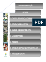 Integ Padro 06 Patrimonial PDF