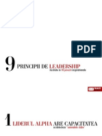 9principii Alpha Leadership