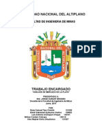 UNIVERSIDAD-NACIONAL-DEL-ALTIPLANO-trabajo-comercio.docx