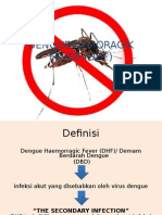 Dengue Hemoragik Fever (DHF)