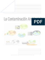 CONTAMINACIÓN AMBIENTAL