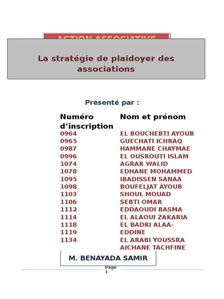 Stratégie de Plaidoyer Des Associations | PDF | Stratégie militaire ...