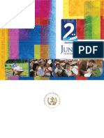 II Informe Presidencial (2009)
