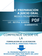 Lic. Reyna Torres - Etapa de Preparación A Juicio Oral2