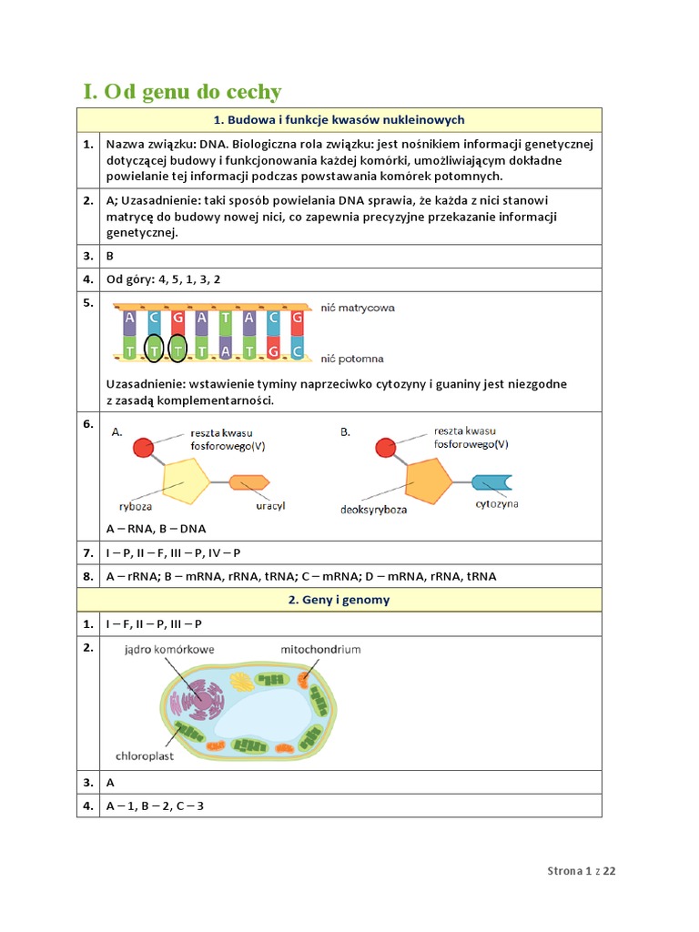 Biologia Na Czasie Karty Pracy Ucznia Odpowiedzi Geny I Genomy Karty Pracy - klucz odpowiedzi