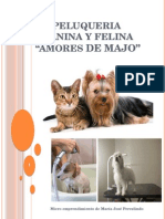 Peluqueria Canina y Felina