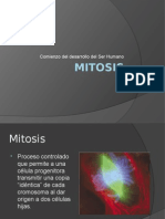 Mitosis