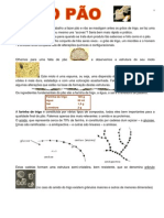 Como funciona o pão