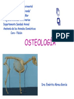 Osteologia Animal