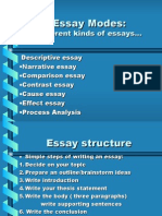 Essay Structute